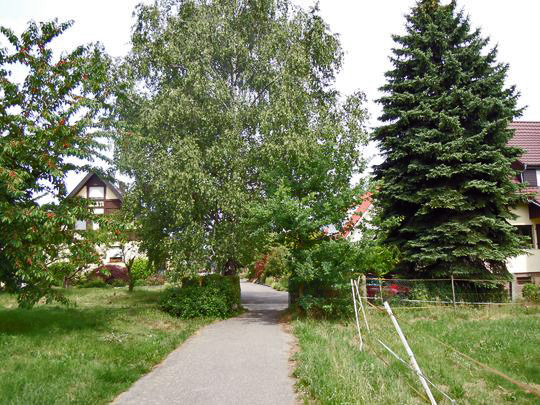 Vor dem Acherrain in Achern