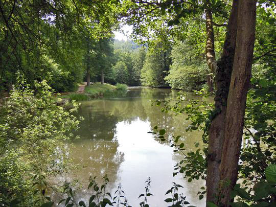 AmWaldsee Oberachern